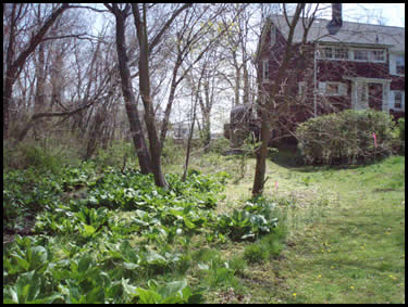 New Jersey Tax Appeals